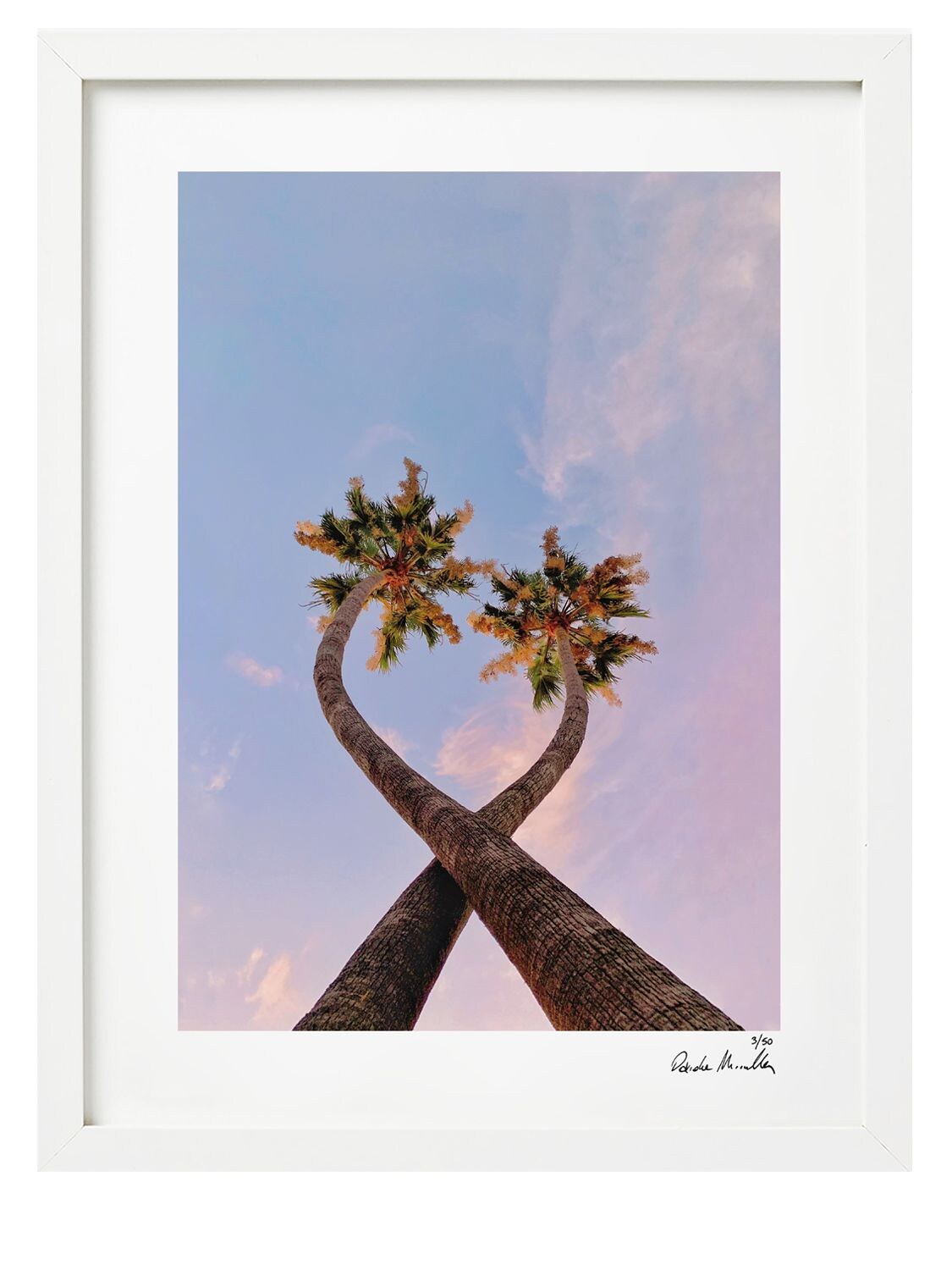 Stampa Piccola “twilight Palms” Con Cornice