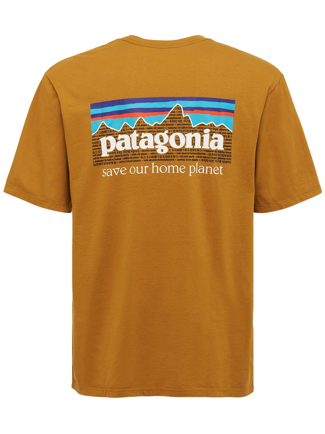 Patagonia t Shirt. Футболка bambass Patagonia. Patagonia надпись. Футболка Патагония фиолетовая.