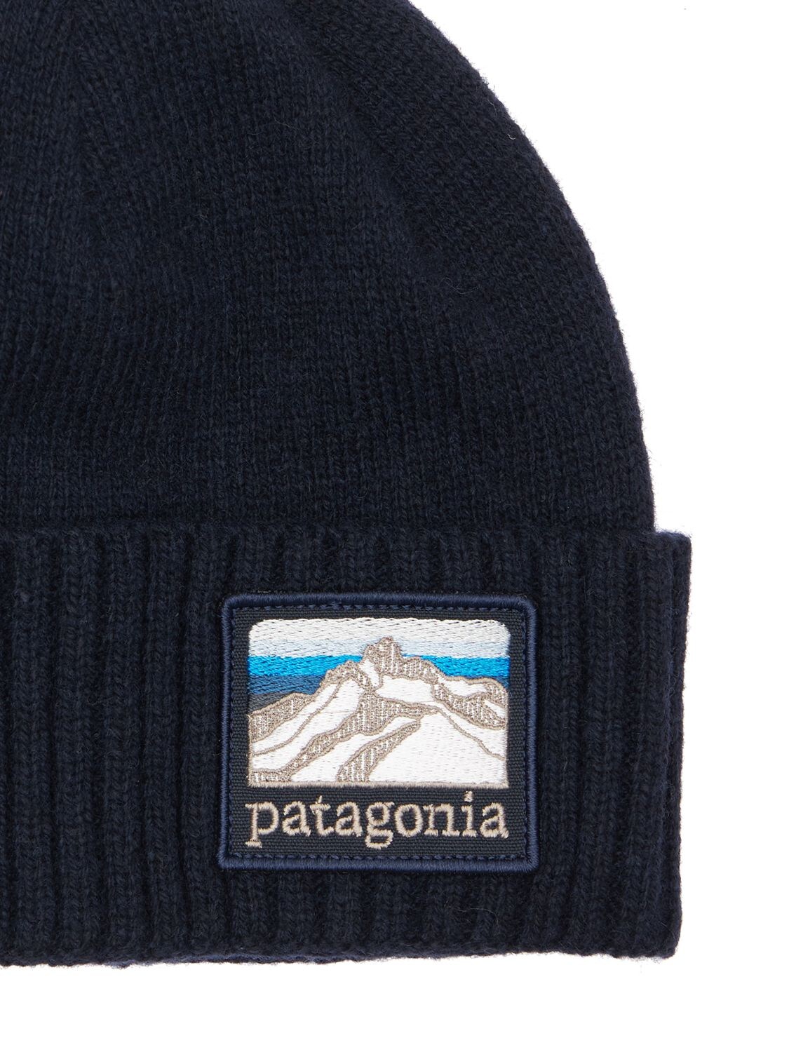 Patagonia Brodeo Rolled Beanie