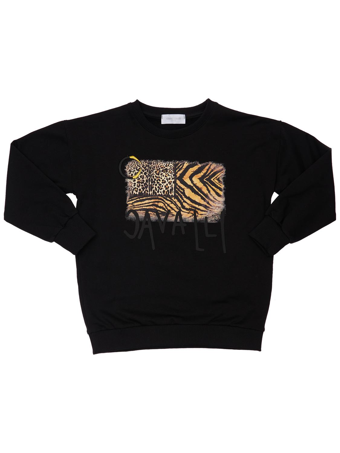 Bedrucktes Sweatshirt Aus Baumwolle