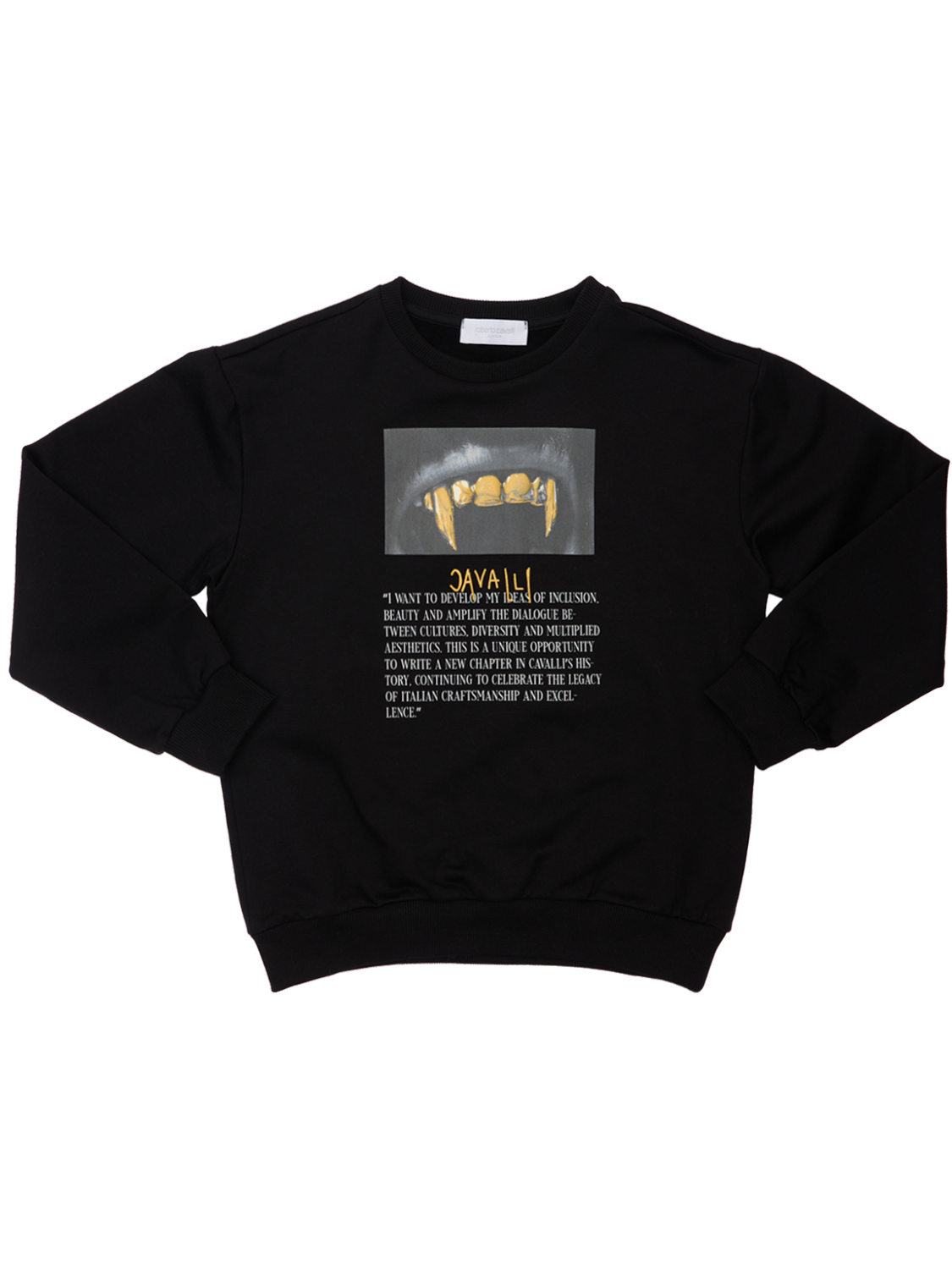 Bedrucktes Sweatshirt Aus Baumwolle