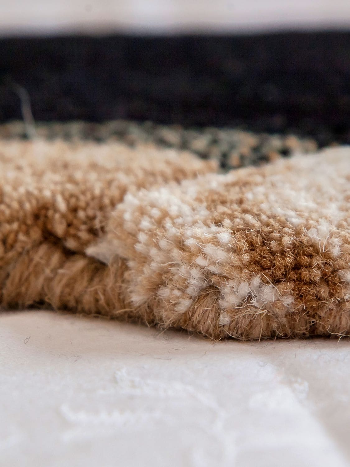 Shop Studio Maleki Lvr Exclusive Dog Wool Rug In Brown,black