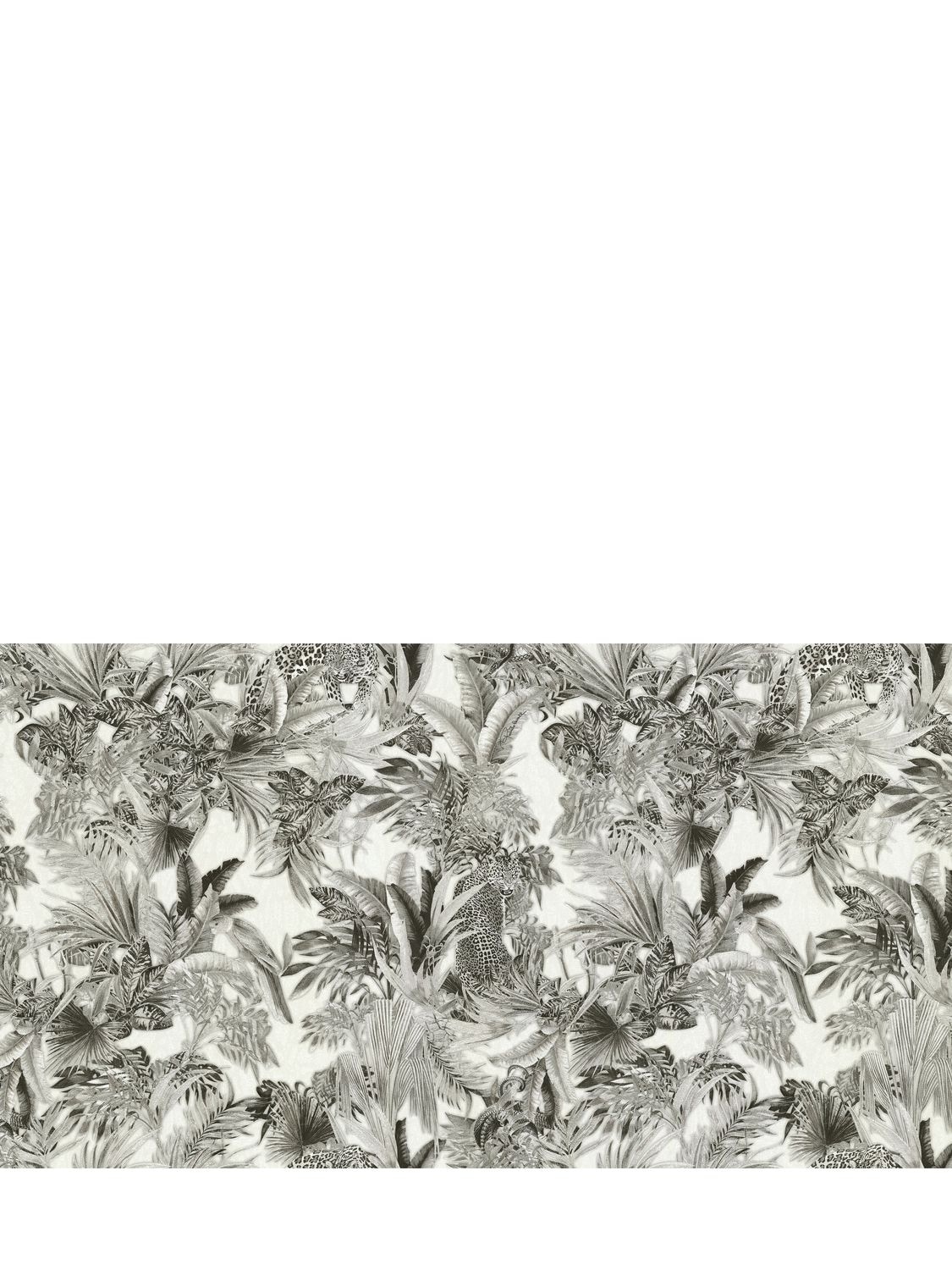 Roberto Cavalli Flower Printed Wallpaper In Grey,white