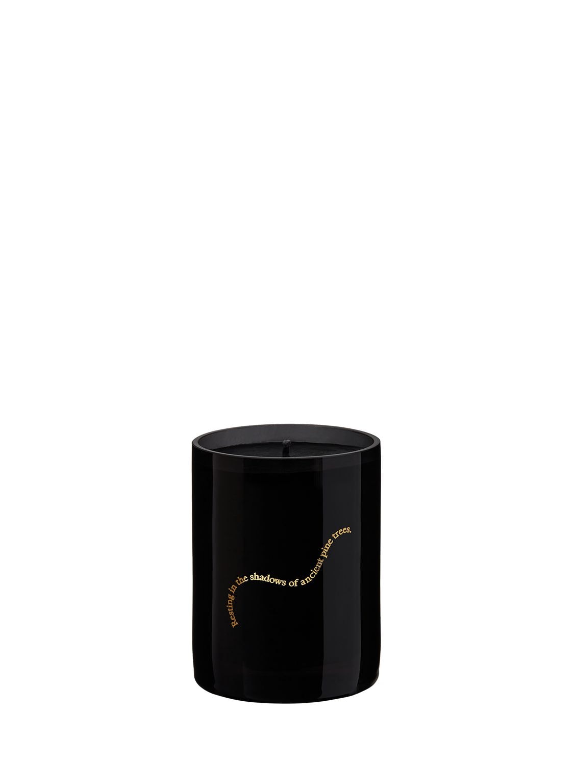 Shop Evermore 300g Grove Scented Candle In Black