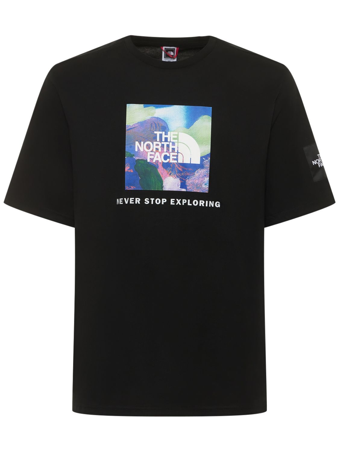 THE NORTH FACE ALFI KUNGU GRAPHIC T-SHIRT