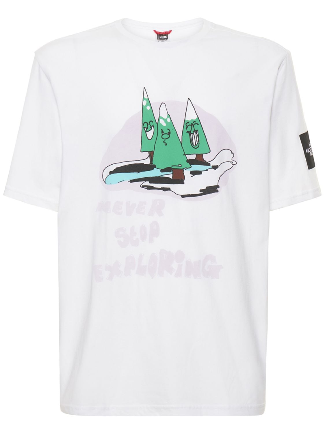 THE NORTH FACE ALFI KUNGU GRAPHIC T-SHIRT