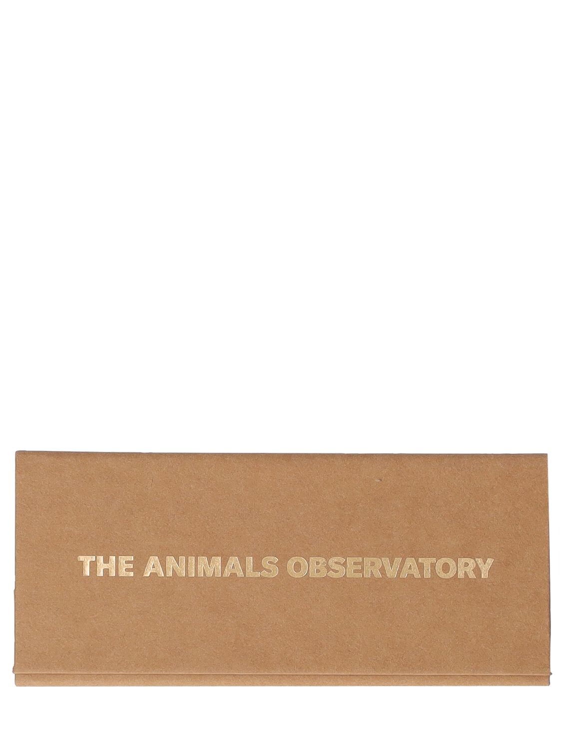 Shop The Animals Observatory Logo Print Recycled Poly Sunglasses In Purple,green