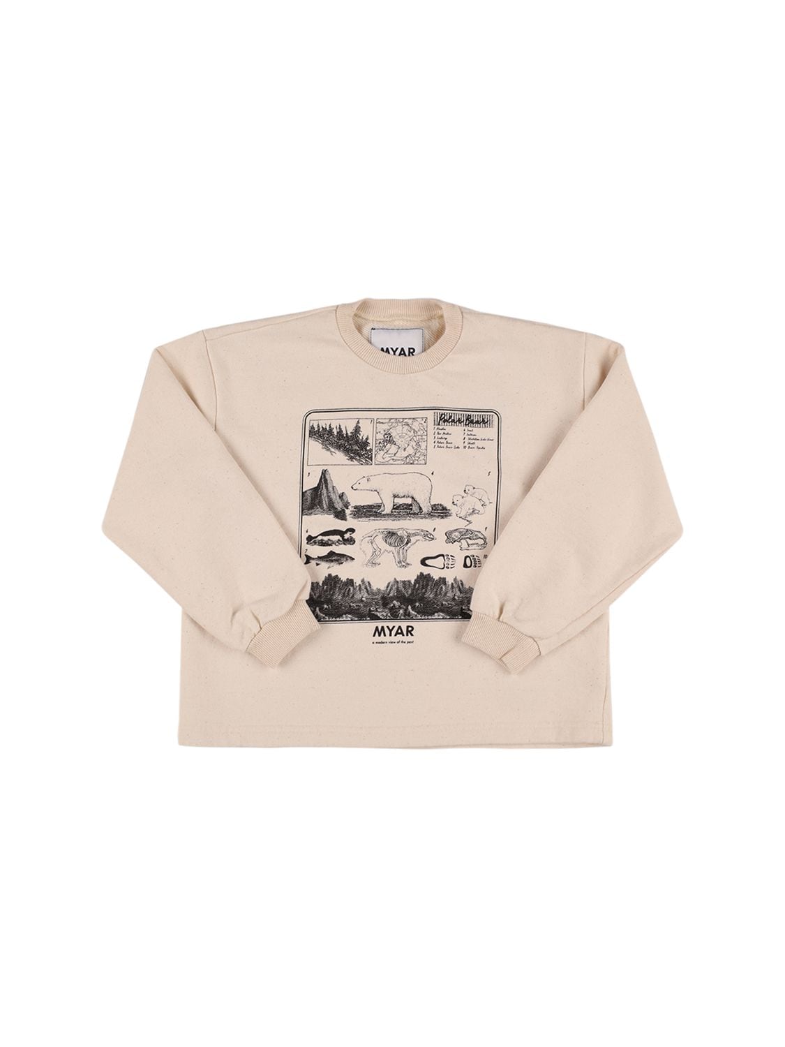 MYAR BEAR PRINTED COTTON SWEATSHIRT