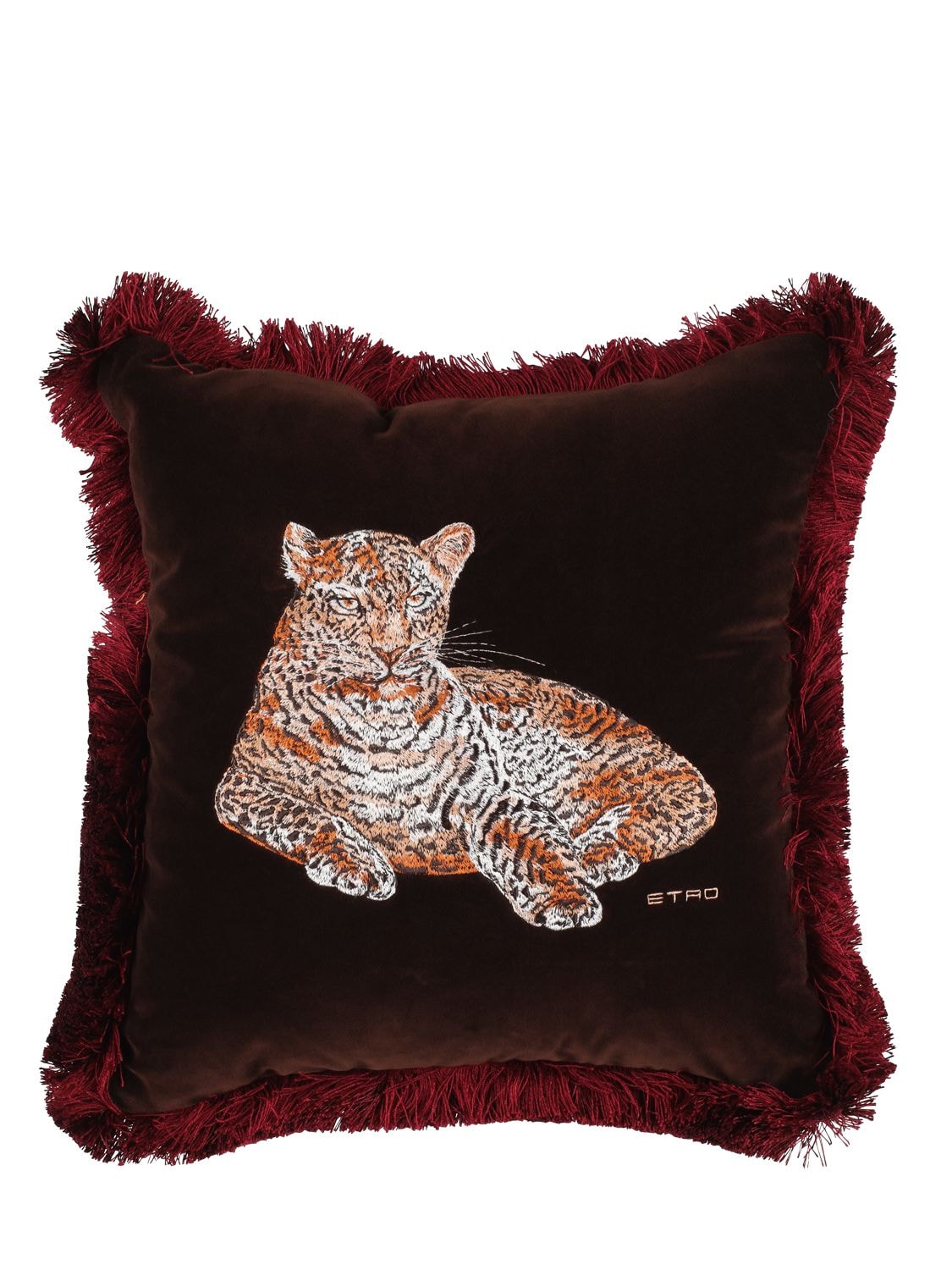 Etro Embroidered Cushion In Brown