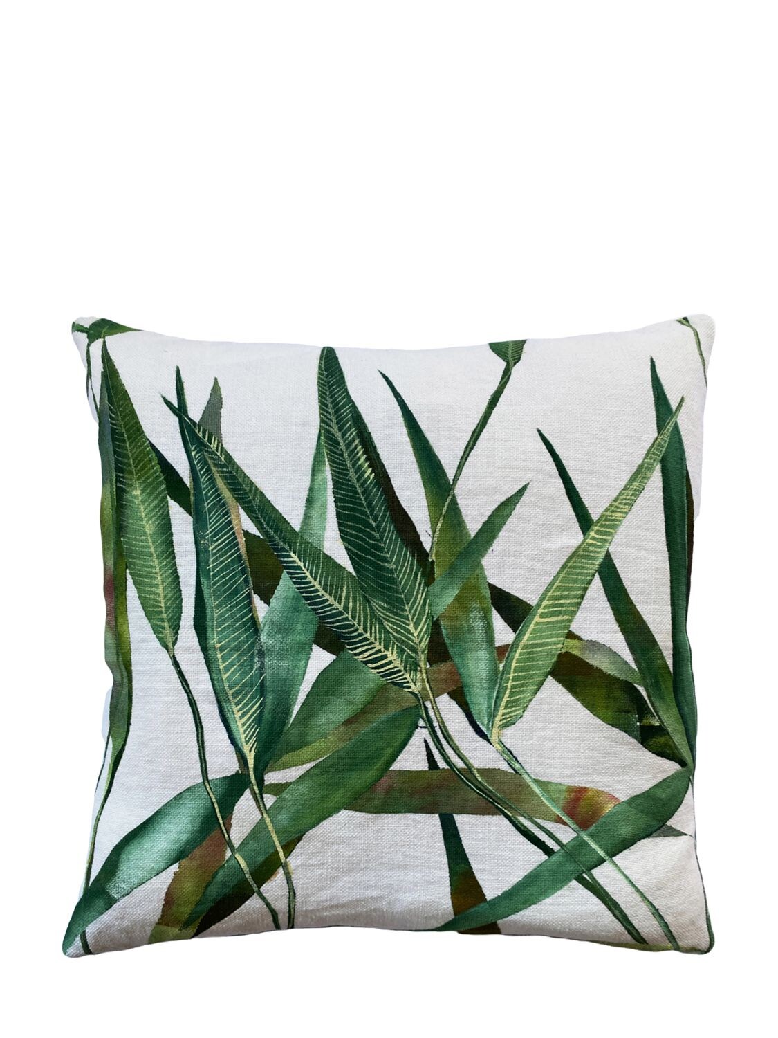 Shop Chiara Grifantini Botany & Dragonfly Cushion In White