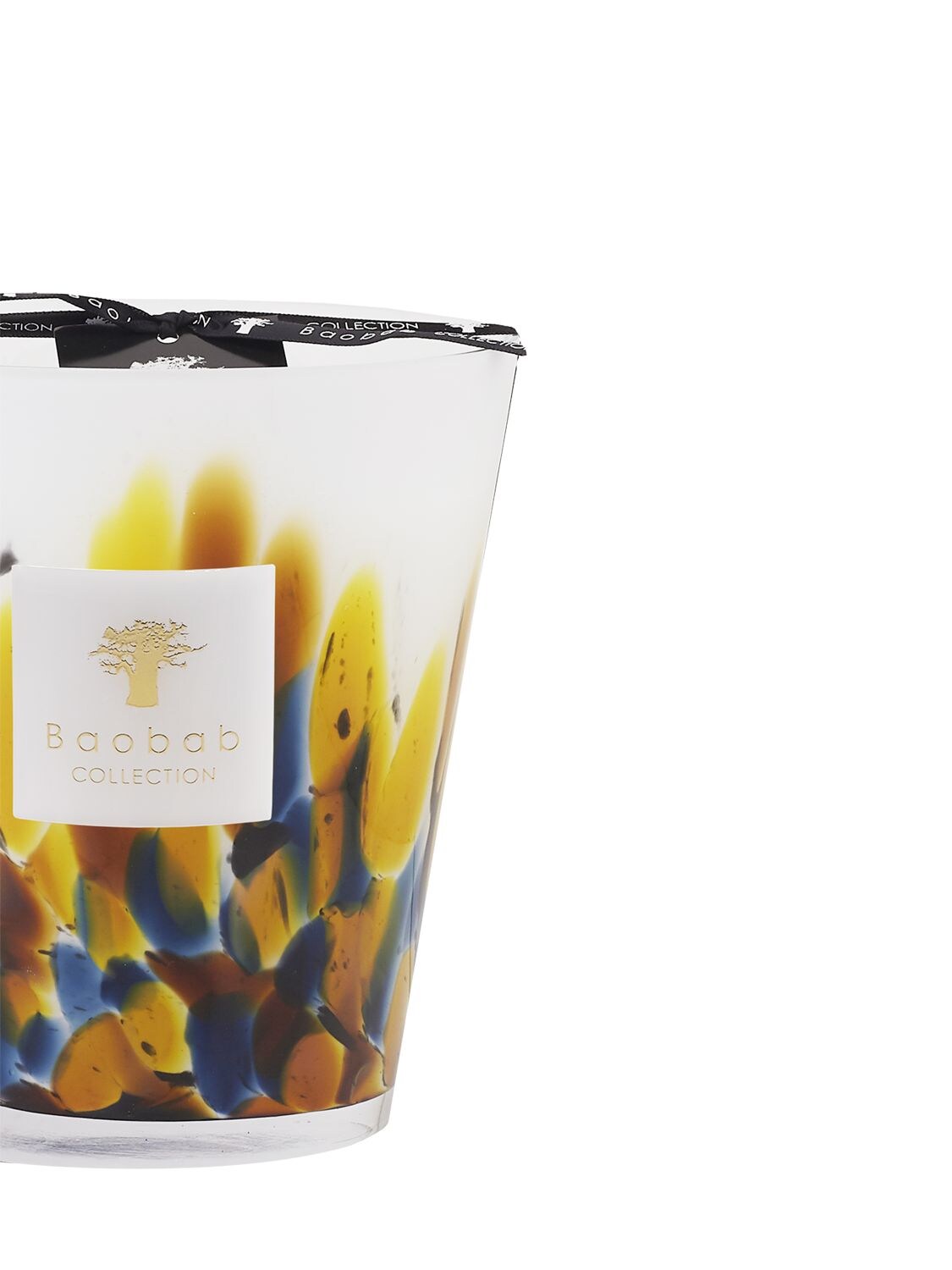 Shop Baobab Collection Rainforest Mayumbe Candle In Multicolor