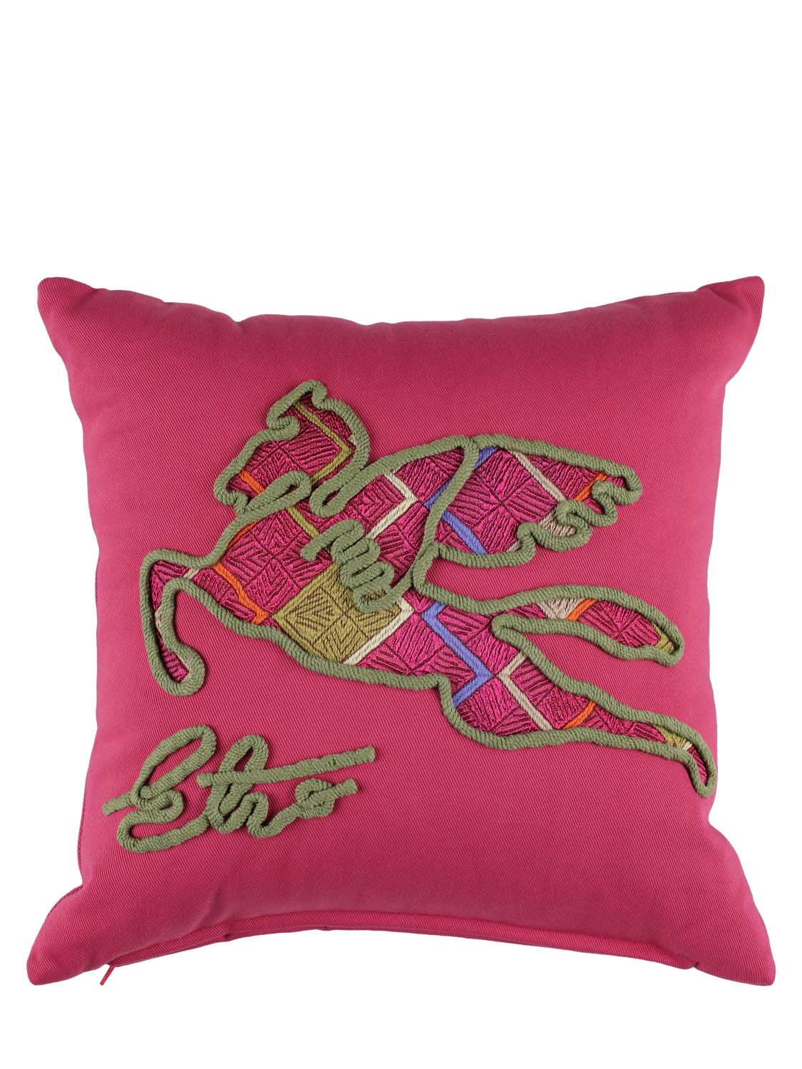 Etro Jaisalmer Embroidered Cushion In Pink