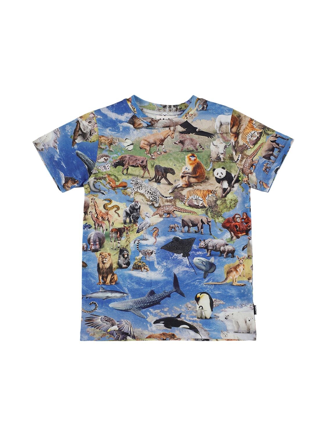 T-shirt En Coton Biologique Imprimé Animaux