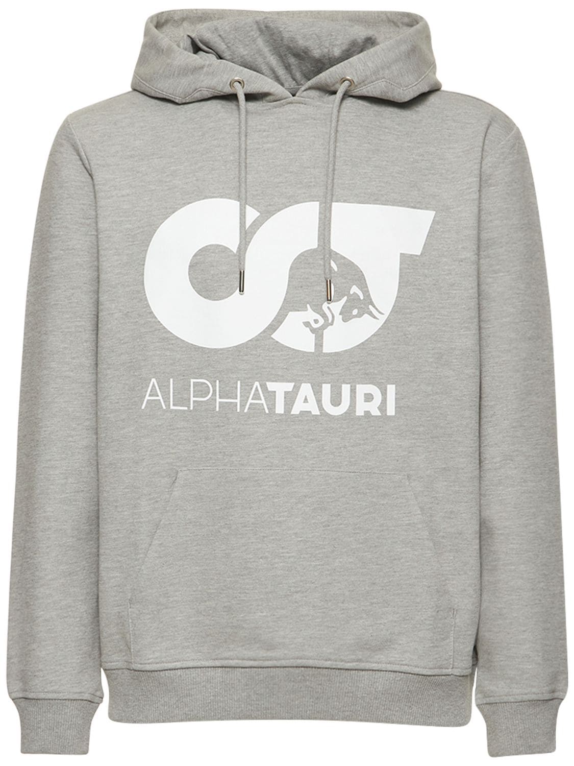 Alphatauri Logo Sweatshirt Hoodie In Grey,white