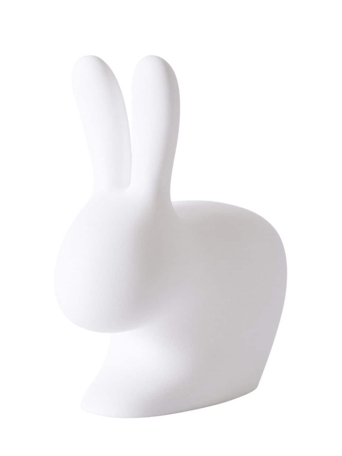 Image of Rabbit Chair With Rechargeable Led