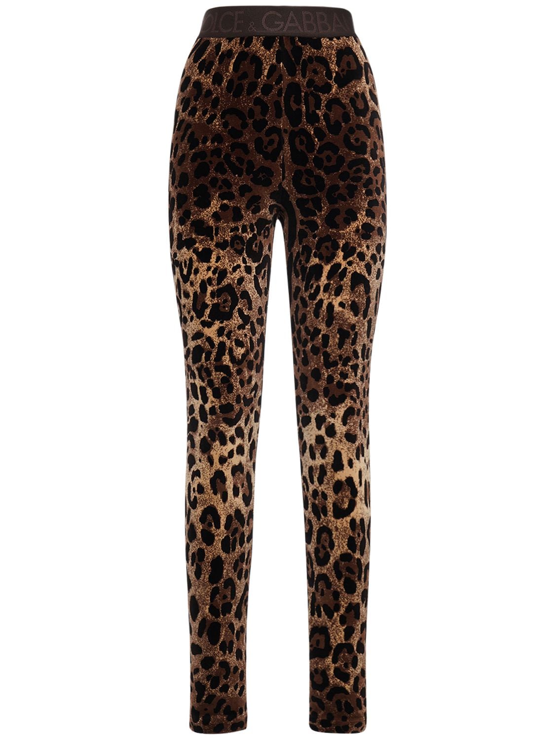 Printed cotton-blend high-rise pants in multicoloured - Dolce Gabbana