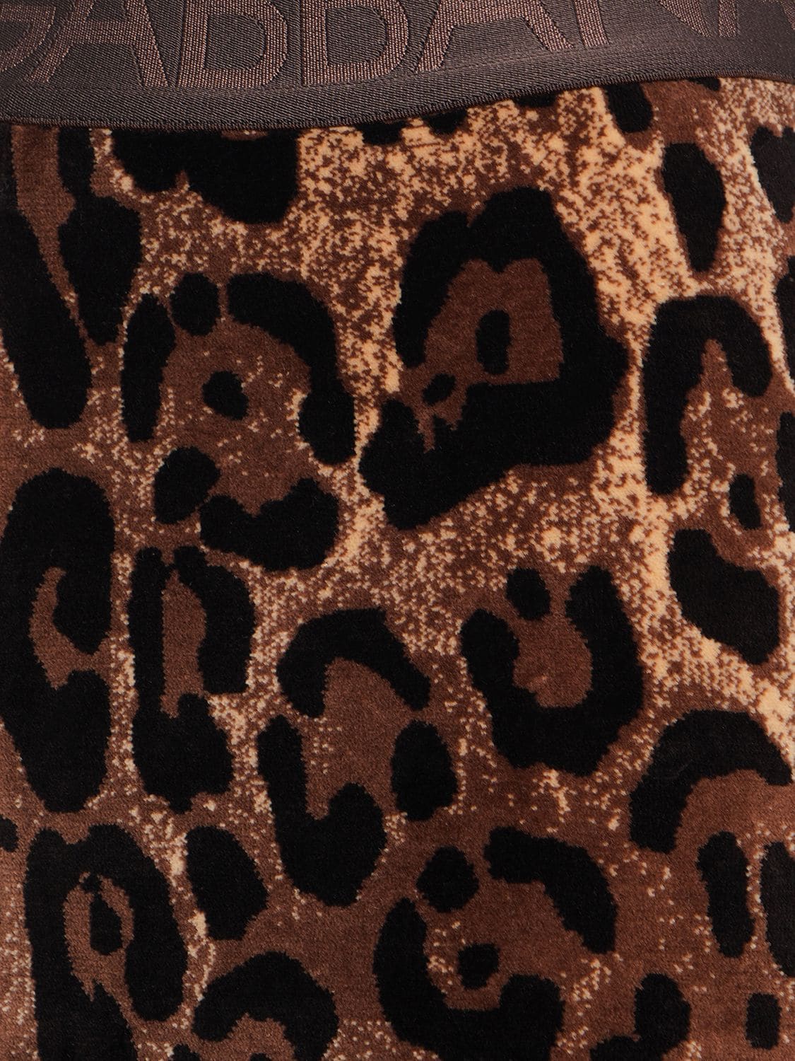 Shop Dolce & Gabbana Leopard Print Chenille Leggings In Multicolor
