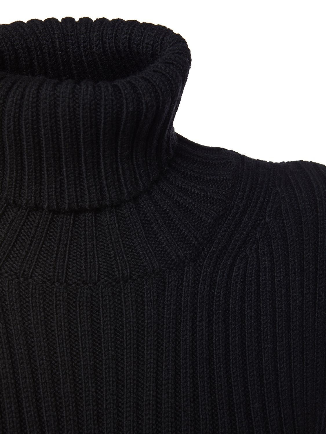 Shop Max Mara Aldina Rib Knit Wool Turtleneck Vest In Black