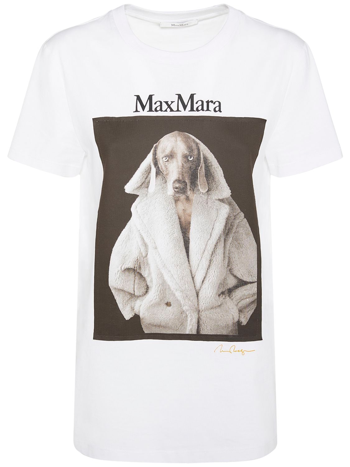 Shop Max Mara Valido Printed Cotton Jersey T-shirt In White