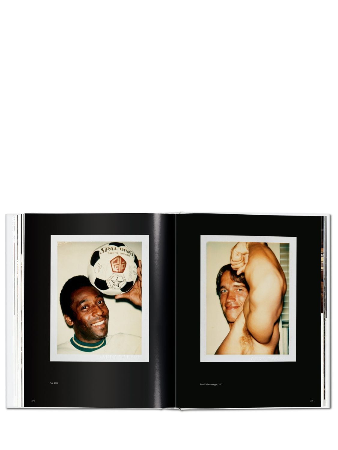 Shop Taschen Andy Warhol. Polaroids 1958-1987 In Multicolor