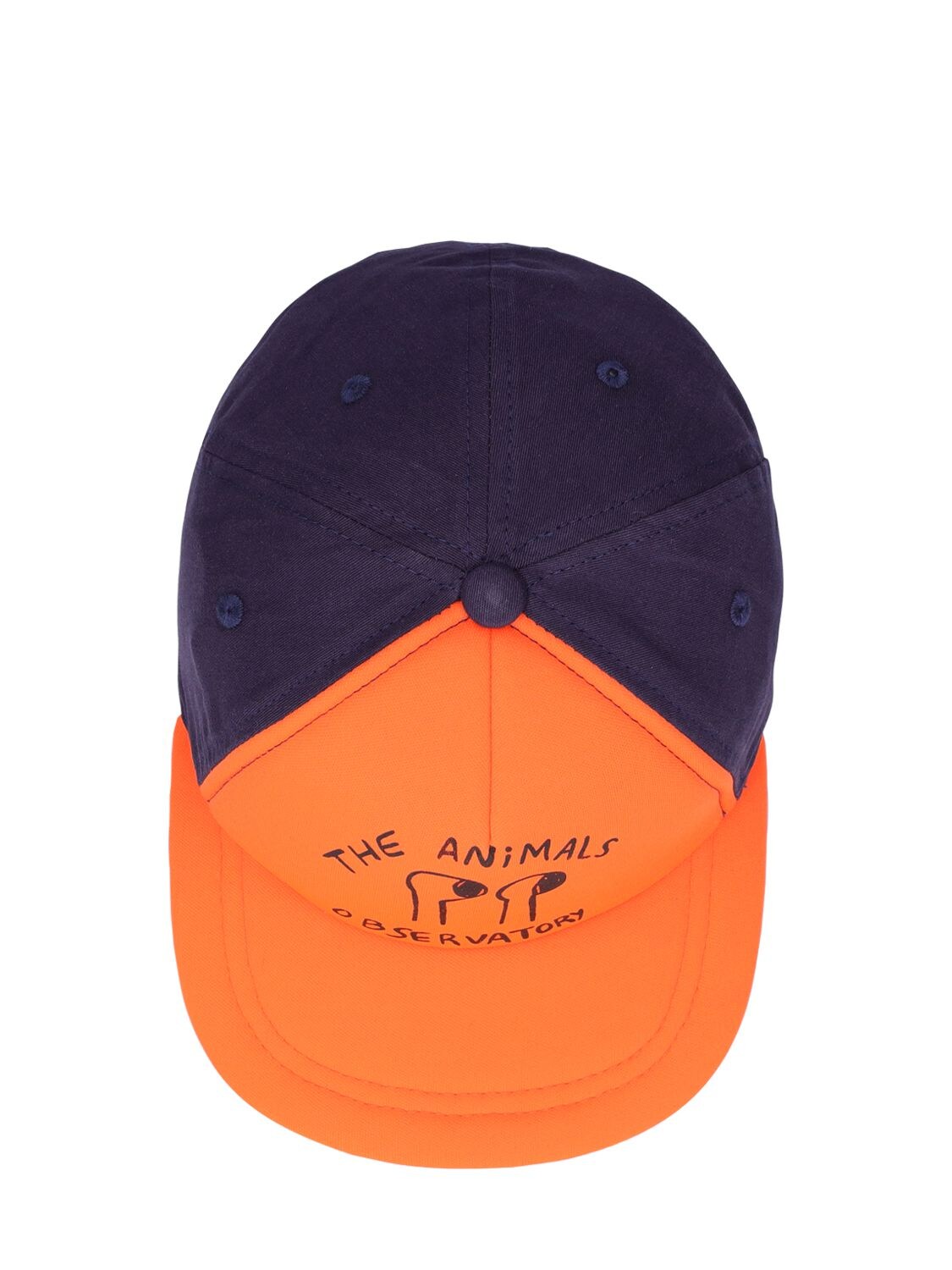 Shop The Animals Observatory Logo Print Cotton Baseball Hat In Orange,navy