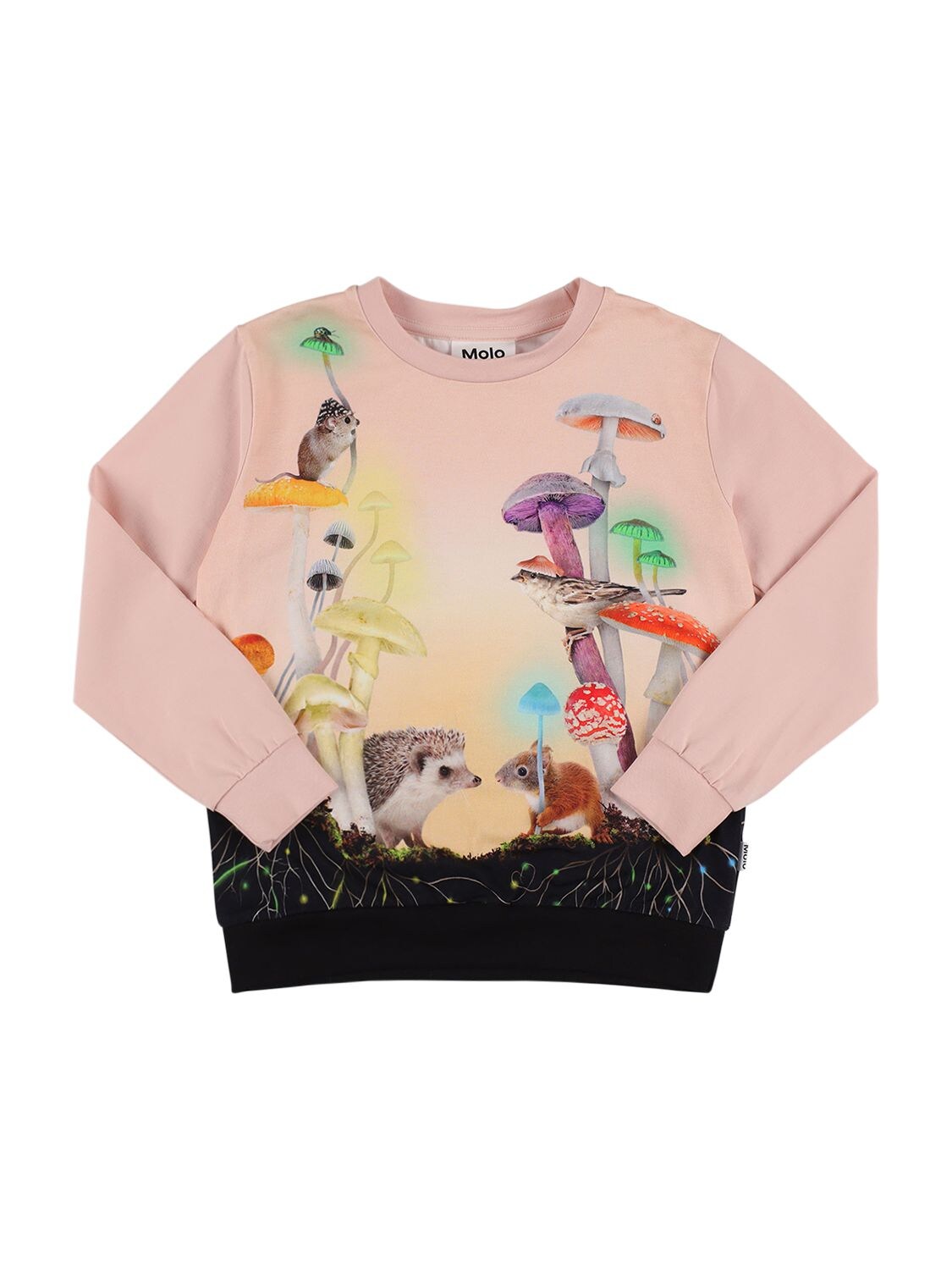 Animals Print Organic Cotton Sweatshirt – KIDS-GIRLS > CLOTHING > SWEATSHIRTS
